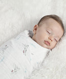 Aden + Anais Classic Swaddles 2 Pack - Various Prints