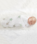 Aden + Anais Classic Swaddles 2 Pack - Various Prints