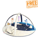 Skip Hop Celestial Dreams Activity Gym