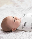 Aden + Anais Classic Swaddles 2 Pack - Various Prints