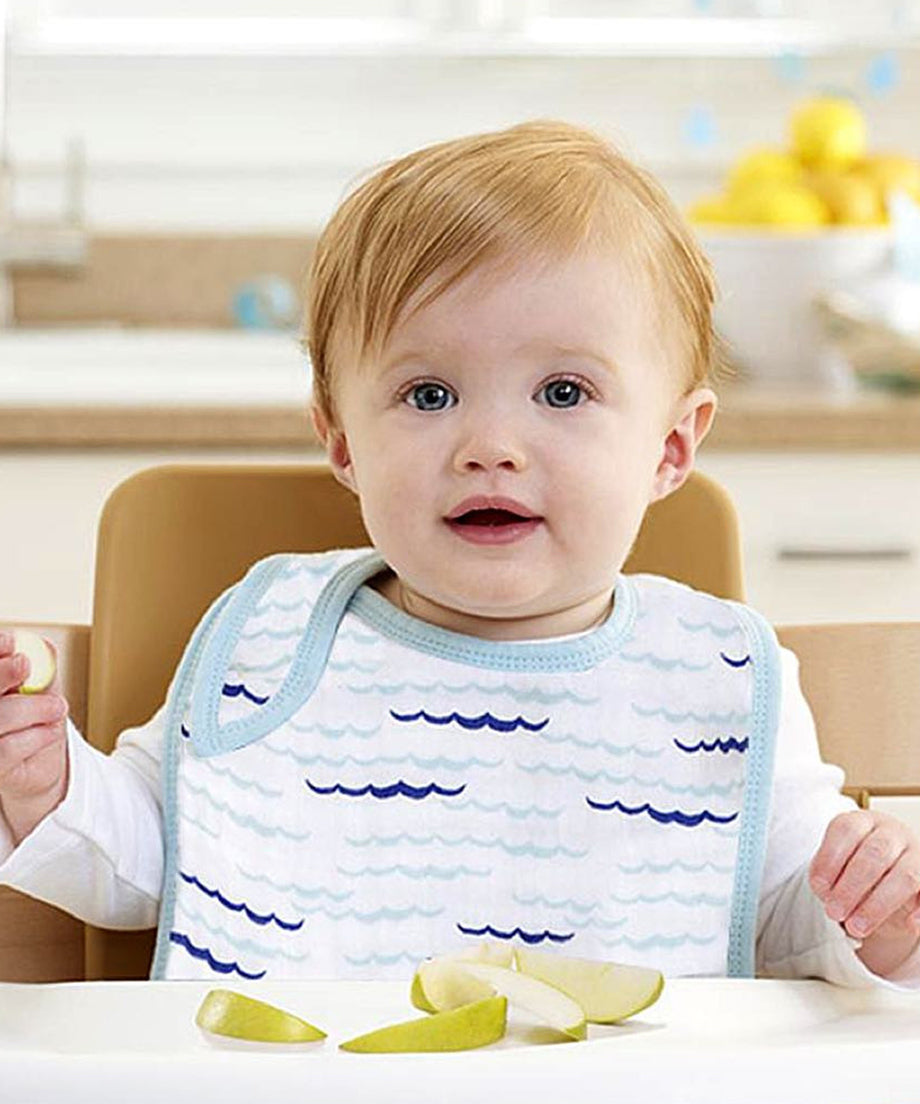 Aden + Anais Classic Snap Bibs 3 Pack