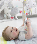 Skip Hop Silver Lining Cloud Activity Gym