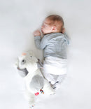 Zazu Plush Toy Comforter with Heartbeat Sound - Dex the Dog