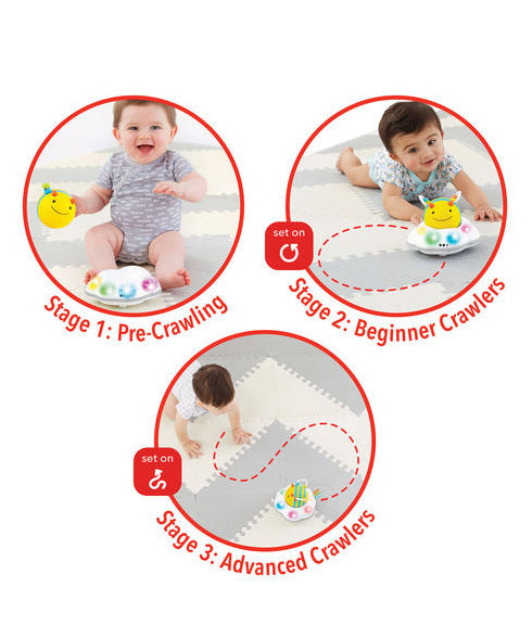 Skip Hop Explore & More Follow Bee Crawl Toy