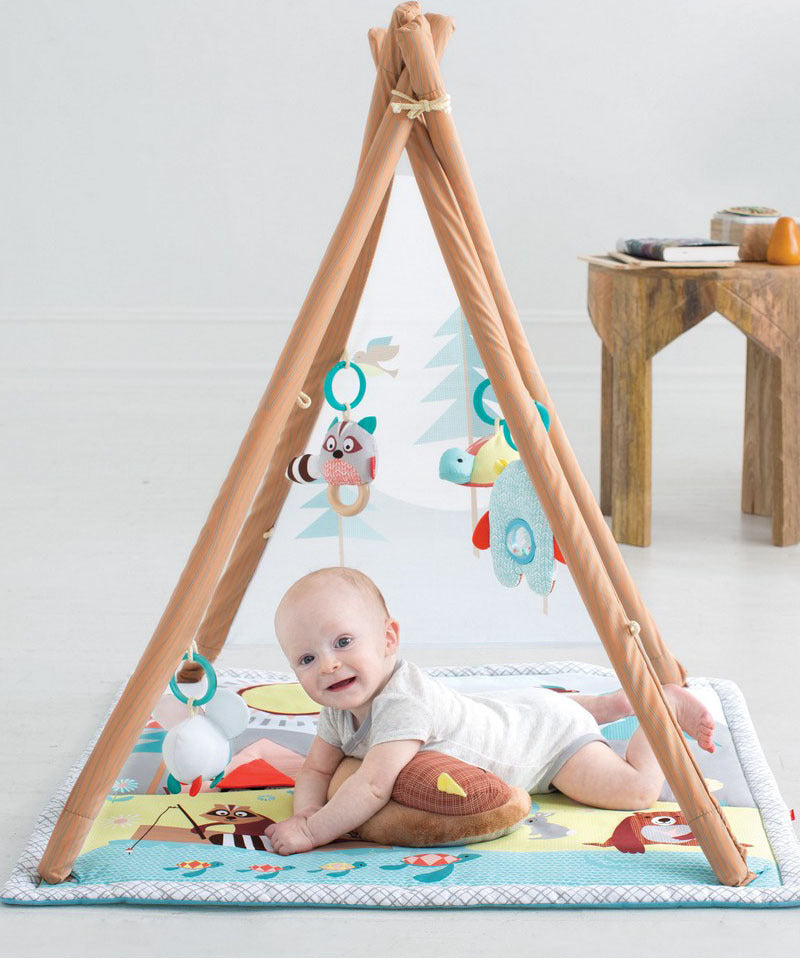 Skip Hop Camping Cubs Activity Gym