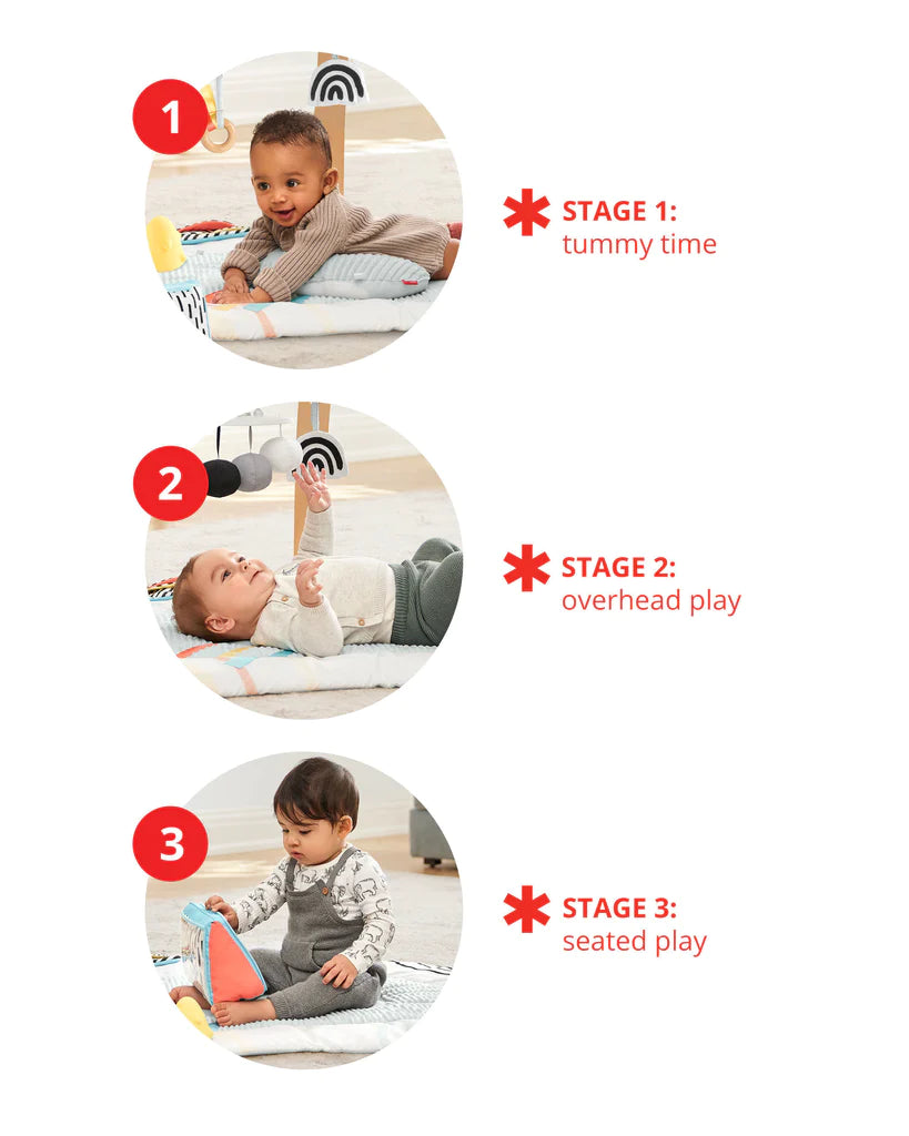 Skip Hop Discoverosity Deluxe Activity Gym