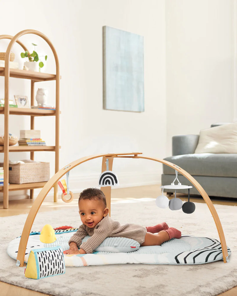 Skip Hop Discoverosity Deluxe Activity Gym – Swaddle Shop