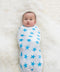 Aden + Anais Classic Swaddles 2 Pack - Various Prints