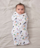 Aden + Anais Classic Swaddles 4 Pack - Around the World