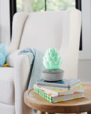 Skip Hop Cry-Activated Soother Terra