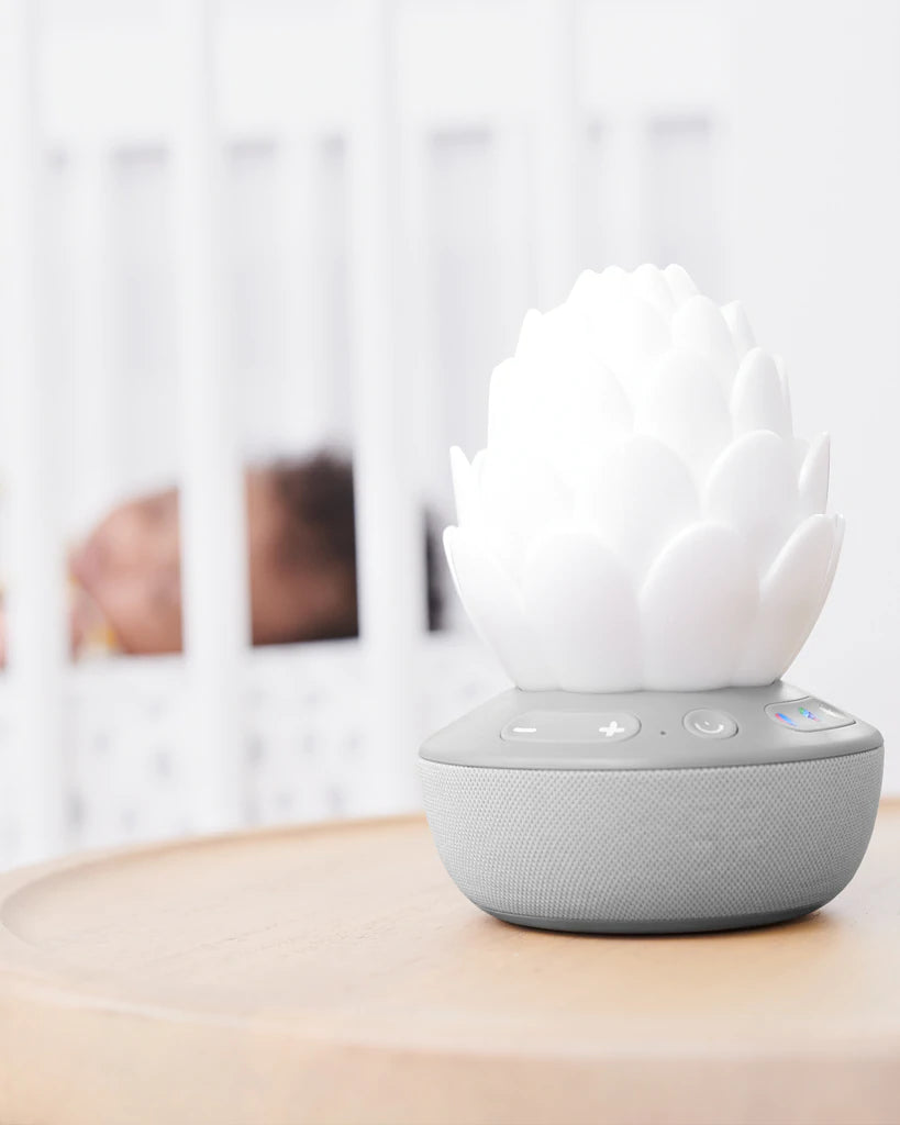 Skip Hop Cry-Activated Soother Terra
