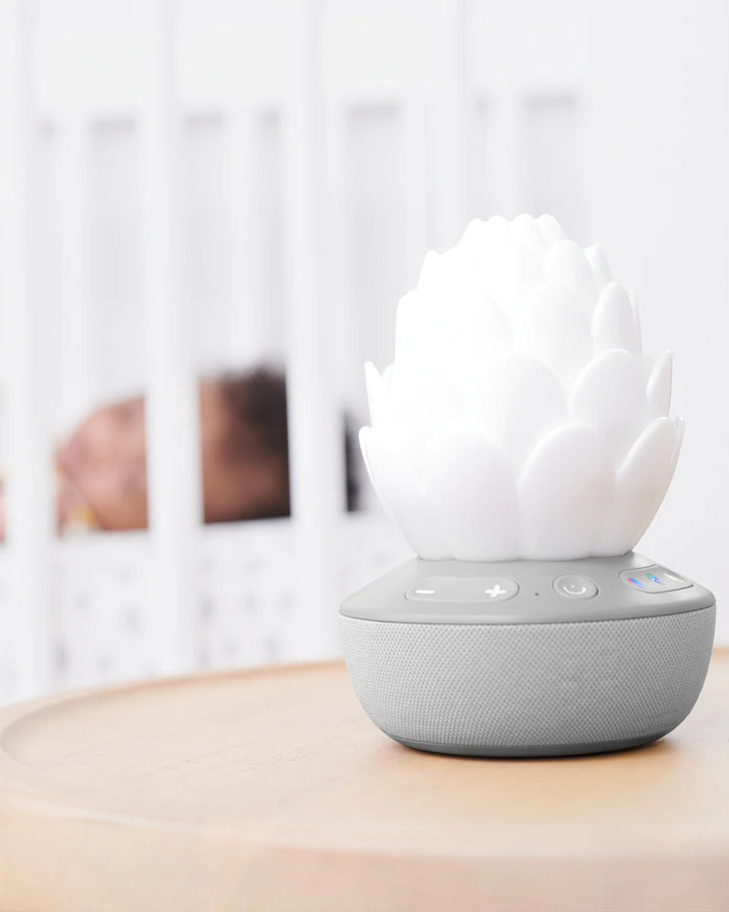 Skip Hop Cry-Activated Soother Terra
