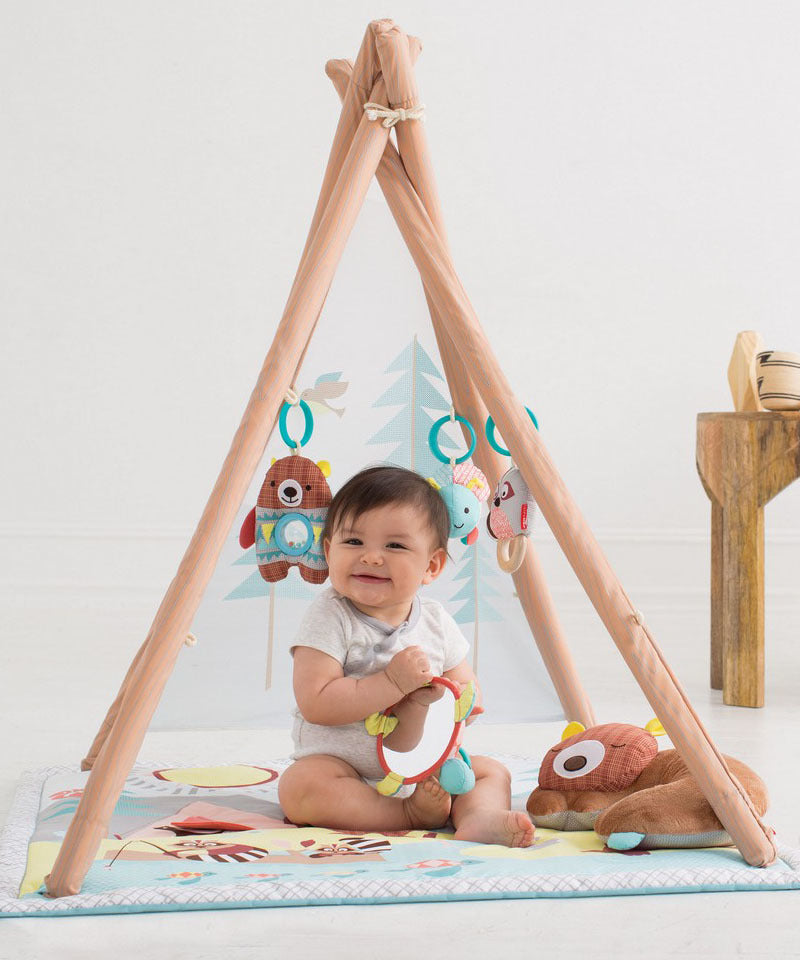 Skip Hop Camping Cubs Activity Gym
