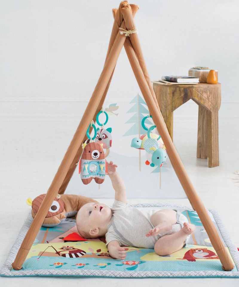 Skip Hop Camping Cubs Activity Gym