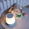 Marpac Yogasleep Duet White Noise Machine with Night Light and Wireless Speaker
