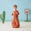 ergoPouch Disney 2.5 tog Jersey Sleep Suit Bag